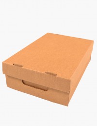 caja_de_carton_ref_22F