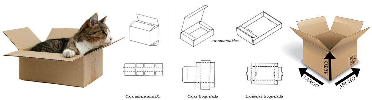 CAJAS MEDIDA -